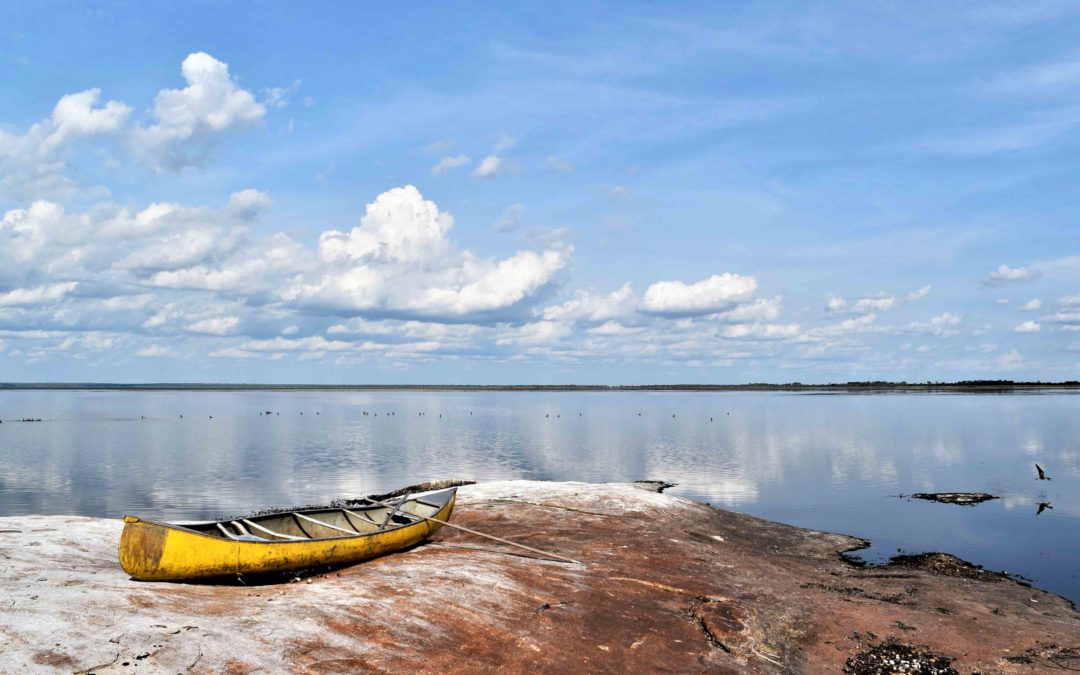 Laguna Marfil: Agua, gente y biodiversidad