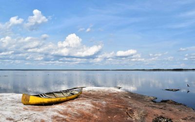 Laguna Marfil: Agua, gente y biodiversidad