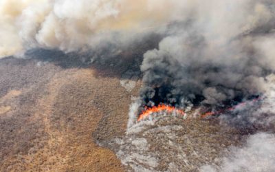 Megaincendios en la Chiquitania: Su significado en el escenario global