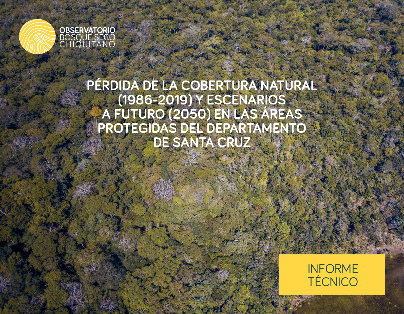 PÉRDIDA-DE-LA-COBERTURA-NATURAL-AP_3S_page-0001