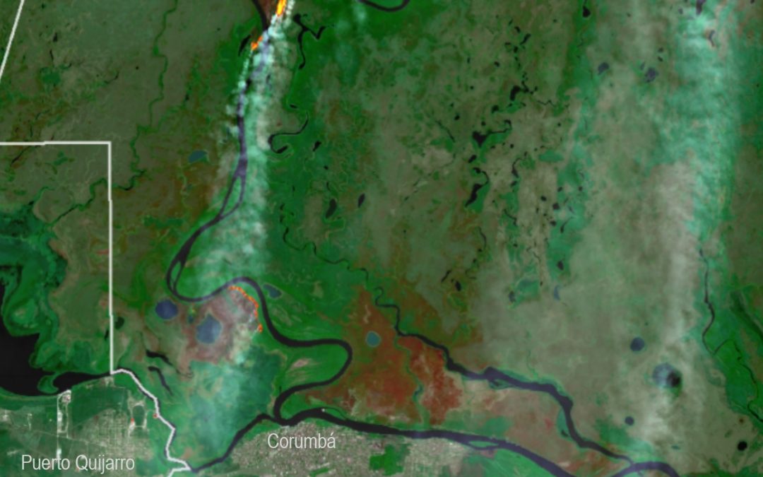 Incendios transfronterizos y dinámica del fuego en el Pantanal